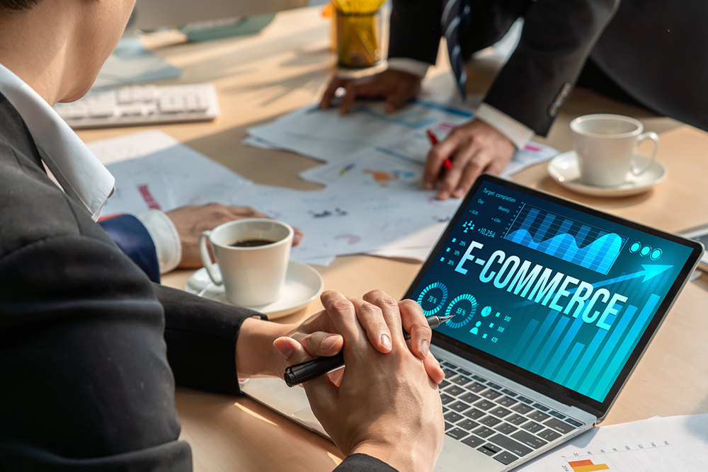 Professional Ecommerce Development Services