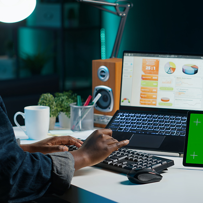Professional WordPress Development