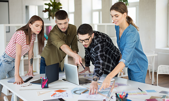 Professional Website Design Custom