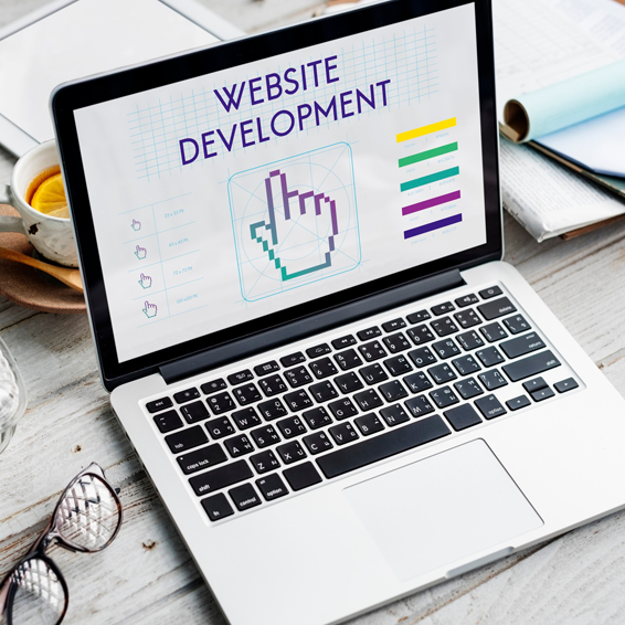 Startup Web Development