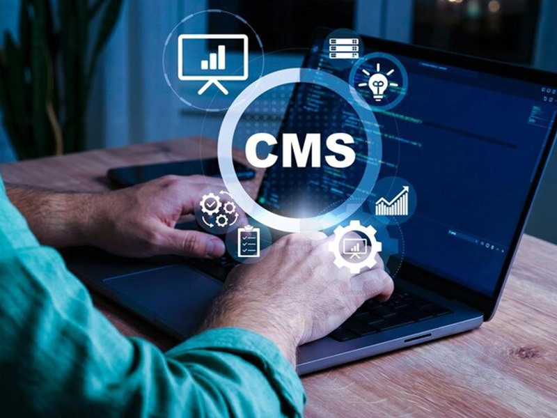 Why Businesses Choose WordPress Over Other CMS Platforms