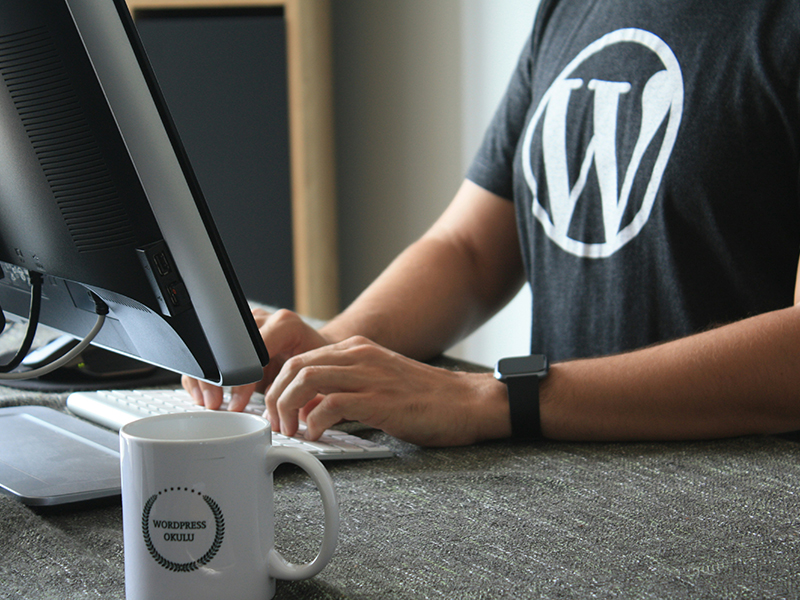 Benefits of Custom WordPress Development