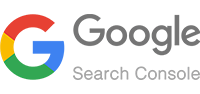 google search consols